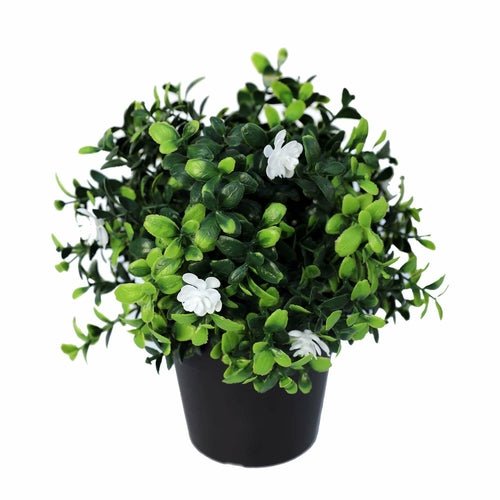 Small Pottex faux plant - lit&Co