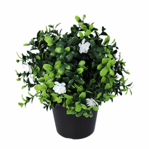 Small Pottex faux plant - lit&Co